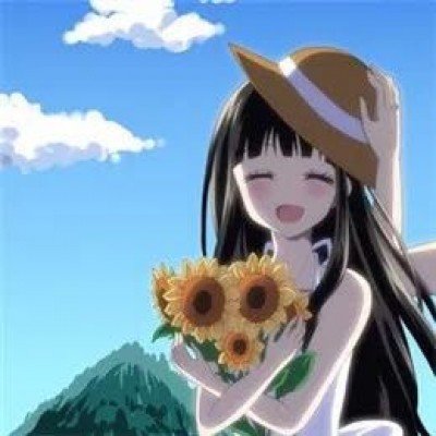 轿夫抬狗爬山 主人徒步跟随